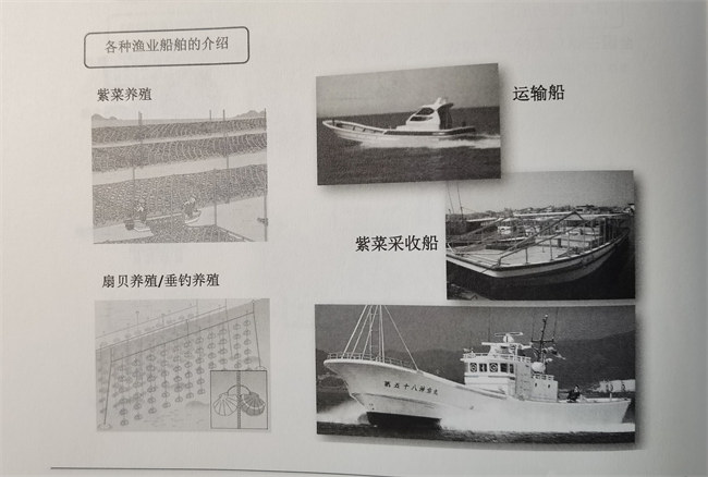 日本的玻璃鋼漁船發展之路       -2