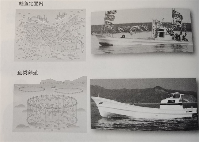 日本的玻璃鋼漁船發展之路       -3