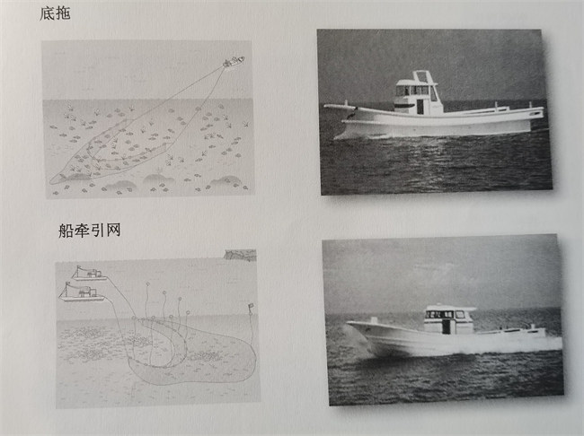 日本的玻璃鋼漁船發展之路       -4